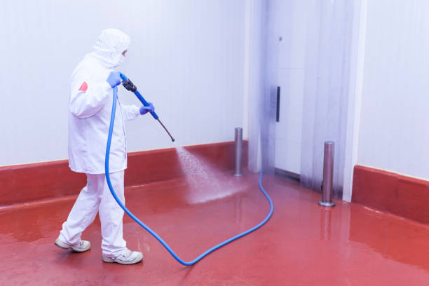 Best Pre-Holiday Cleaning  in Rainier, WA